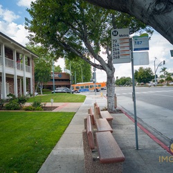 Arcadia, CA - COVID-19 Day 2