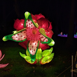 Arcadia, CA - 2019-2020 Arboretum Moonlight Festival
